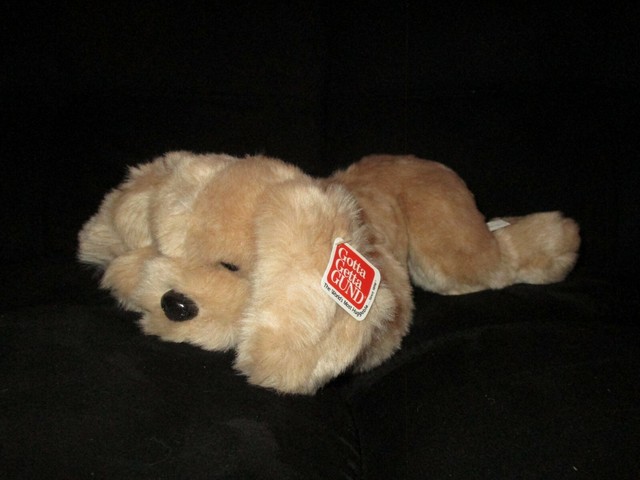 muttsy dog