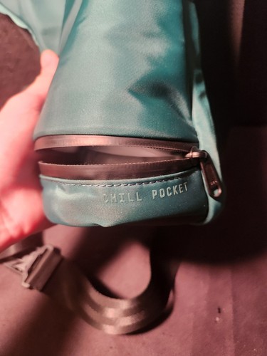 Reisetasche für Peak und oder Peak Pro Emerald Green Official Merch - wenig benutzt - Bild 3 von 13