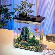 Small Fish Tank, 2 gal Tall Aquarium Starter Kit with LED Light Filter