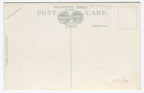 THE LOWER GATES, ABERDARE PARK - Glamorgan Postcard - Picture 2 of 2