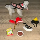 Vintage 1964 Barbie Dog: Grey Poodle, “Dog 'N Duds” #1613 Plus Accessories