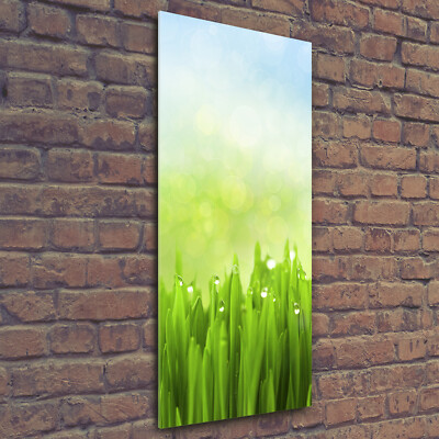 Wandbild Kunst-Druck auf Hart-Glas hochkant 50x125 Gras