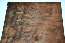 Walnut Burl Raw Wood Veneer Sheet 16 x 18.5 inches 1/42nd thick    4674-88