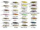Jackall SDD Squirrel 79 Hank Tune Silent Hard Body Fishing Lure - Choose Colour