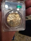 1882-S toned Morgan Silver Dollar CAC PCGS MS65 Luster