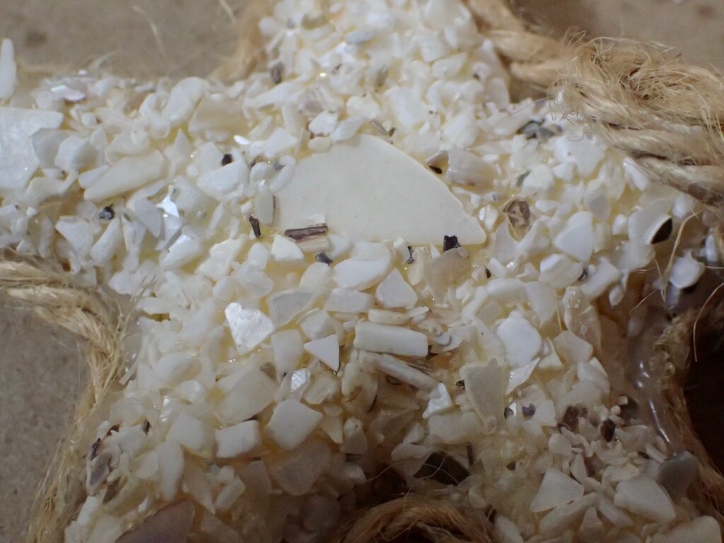 Foto 10 di 12