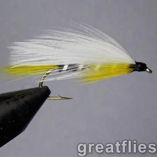 1 dozen (12) - Black Ghost