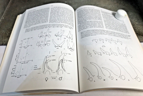 1992 Dinosaur Systematics Approaches Perspectives Carpenter & Currie PB Lk New - Picture 13 of 13