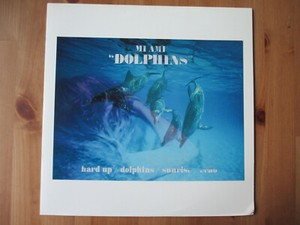 MI AMI - Dolphins - Vinyl LP US 2011