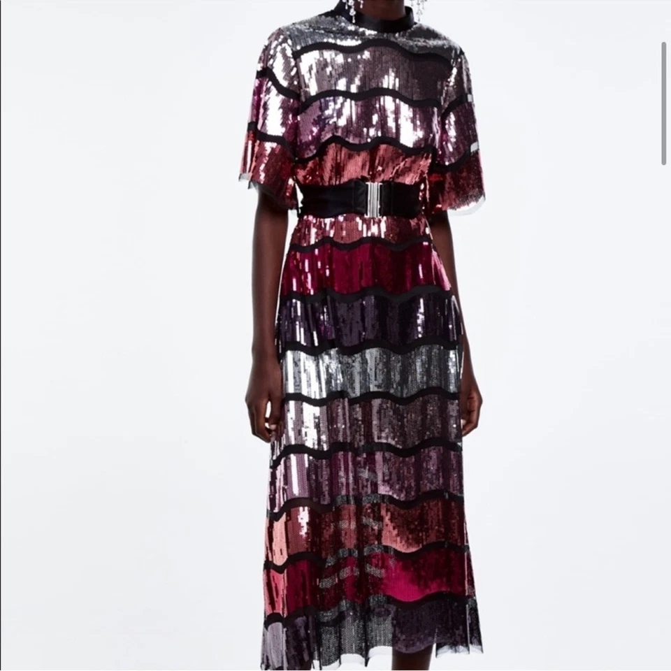 全新带标签 ZARA 限量版罕见亮片条纹腰带迷笛连衣裙 S 码 — 第 3/4 张图片