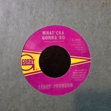 Terry Johnson – What'cha Gonna Do / Suzie Soul 45 on Gordy