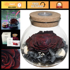 Eternal Preserved Real Roses in Colorful Mood Light Bottle - Never Wither Decor