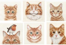 GINGER TABBY CAT, KITTEN ~ Counted cross stitch kits CHOICE OF ORIGINAL DESIGNS