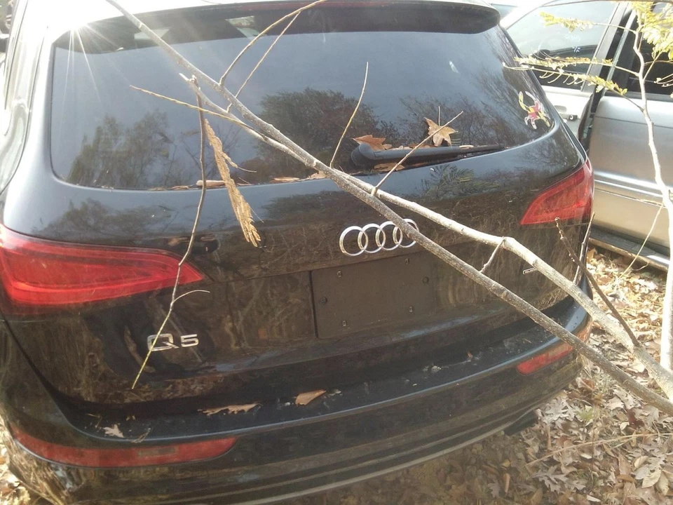 Fuel Pump VIN Model Fp 7th And 8th Digit 2.0L Fits 13-17 AUDI Q5 1538024 - Image 4 of 4