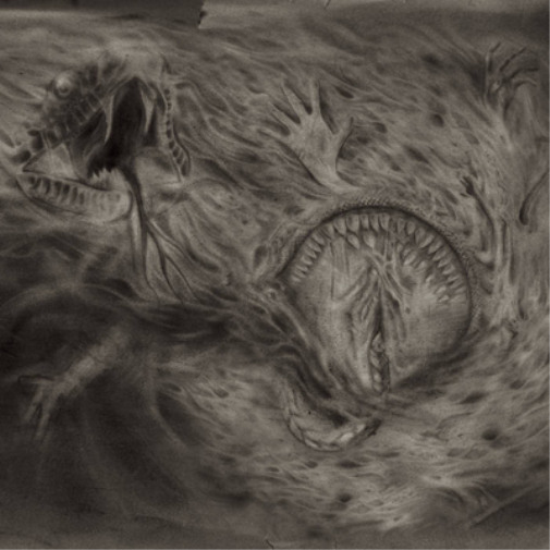 Nidsang Into the Womb of Dissolving Flames (Vinyl LP) 12" Album