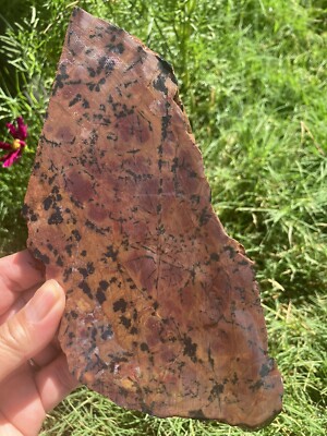 Dendritic Apache Rhyolite Slab (New Mexico) | eBay