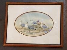  on The Hot Collector