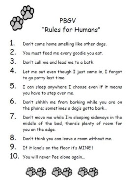 PBGV ''Rules for Humans'' - CUSTOM MATTED - Dog Art Print : GIFT