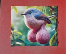 Microfiber Lens Cloth Ballsy Bird Glasses Cleaner Quirky Animal Design