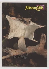 1993 Educational Insights FantastiCards Flying Squirrel #139 kr0