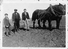 AGRICULTURE / PHOTO SCENE DE PLOUR / YEARS 1936