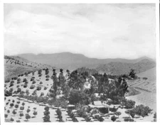 View Of Hollywood Looking North From Beachwood Drive 1910 California Old Photo