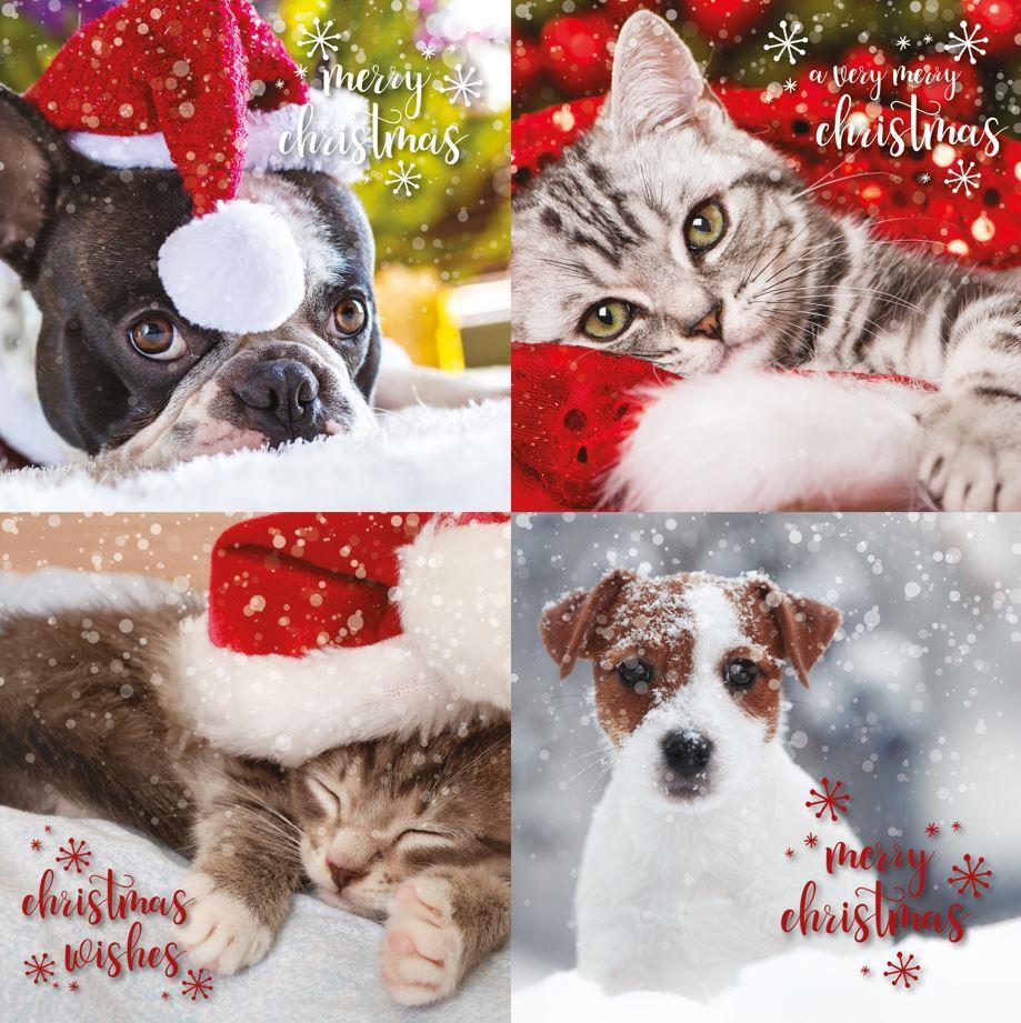 Emotional Rescue Christmas Cards Multi-pack, 12 Multi-pack Christmas Cards, 4