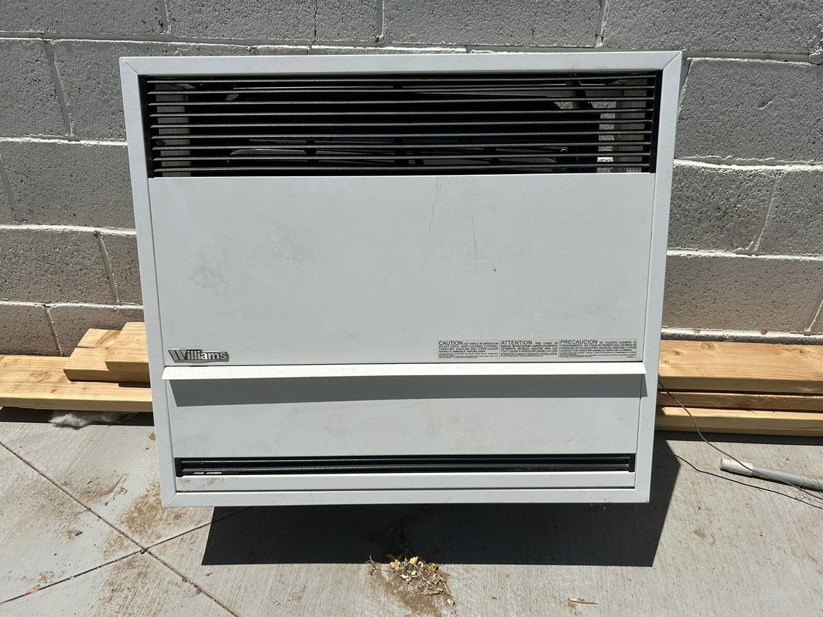 Williams 3003822 30,000 BTU Direct Vent Wall Furnace Heater 93909000493 |  eBay