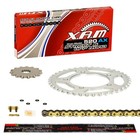 Yamaha XT 660 Z Tenere DM02 2009 Kettenkit XAM EXTRA verstärkt, GOLD Niet XT660Z