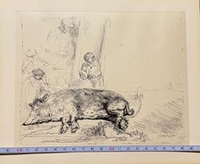 Rembrandt van Rijn The Hog 1645 original Radierung Büttenpapier 18/19 Jh,
