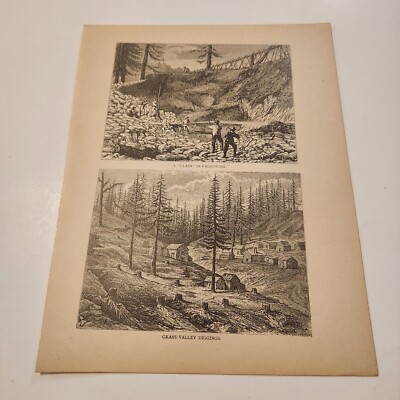 A Claim In California And Grass Valley Diggings c. 1876 Engraving (18)