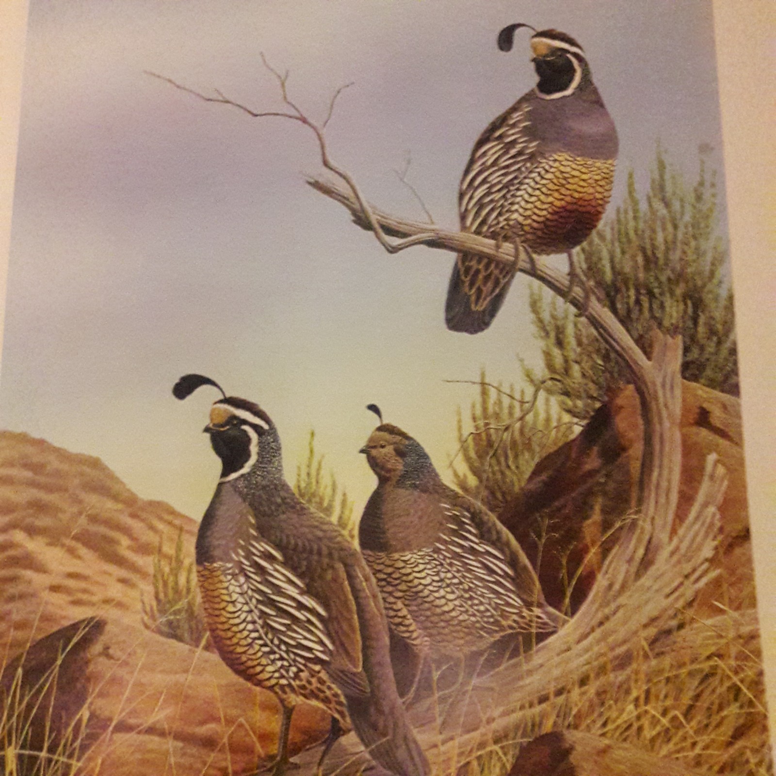 Picture 6 of 6
