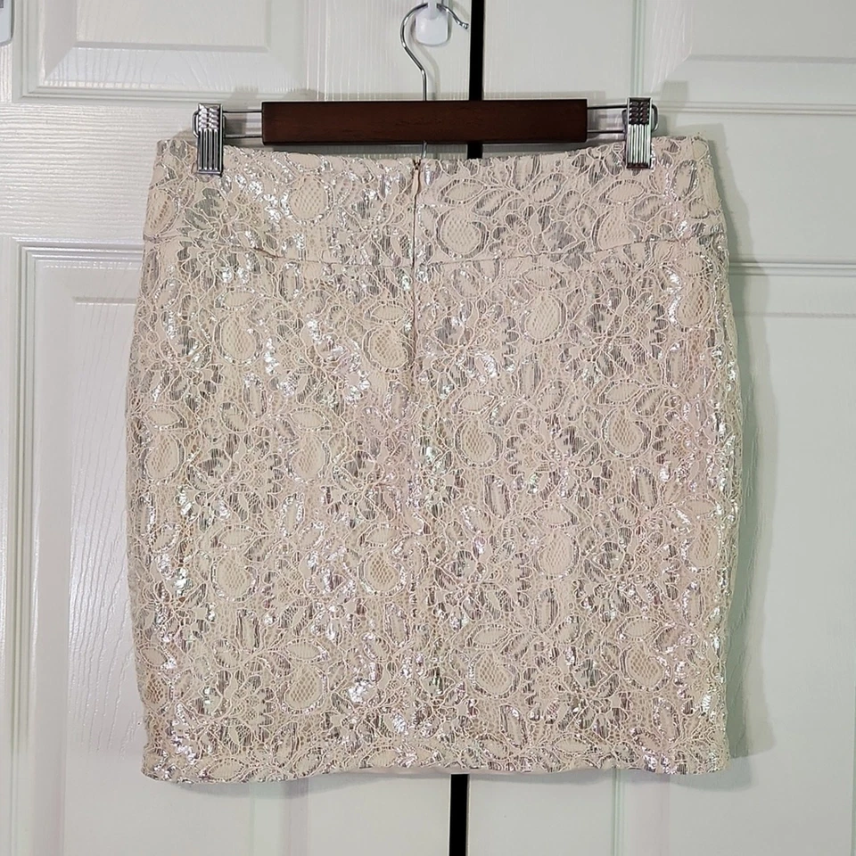 Minifalda Heart Crush de encaje crema y plata talla LG floral glamour forrada Fairycore Foto 2 de 4