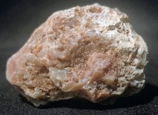 Agatized Coral Specimen w/ Druzy – Pink Fossil Coral