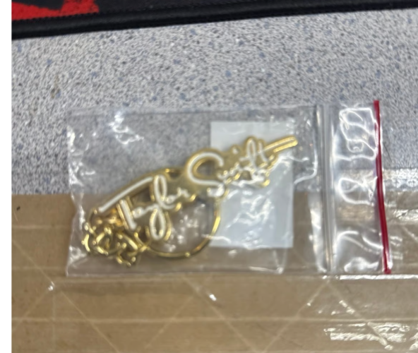 Taylor swift  fearless name  keychain key chain speak now