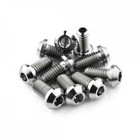 MV Agusta Rivale 800 Stainless Steel Front Disc Bolt Kit