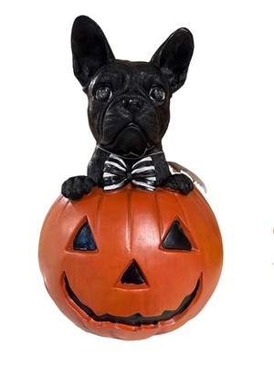 1-Nwt Halloween Frenchie Bulldog Dog Light Up Pumpkin Statue  Decor