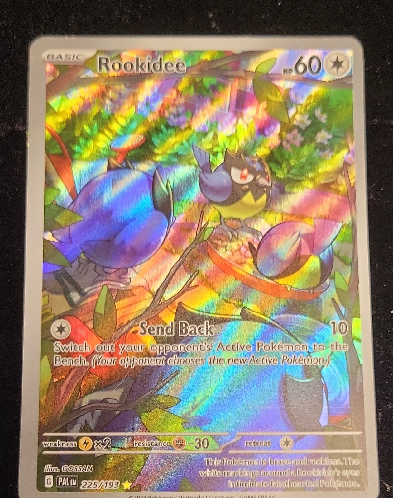 Rookidee 225/193 Sv02: Paldea Evolved Holo