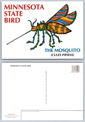 Minnesota State Bird The Mosquito Funny John Hinde Postcard V.A. Irwin Art