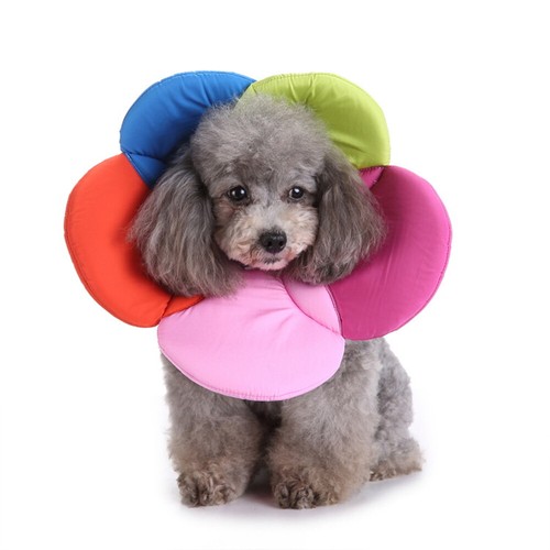 Pet Elizabethan Collar Flower Shape Dog Cat Soft Anti-bite Recover E-Collar Cone - Picture 10 of 10