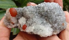 SUPERB RED FLUORITE BALLS ON QUARTZ MATRIX BASE # 0178