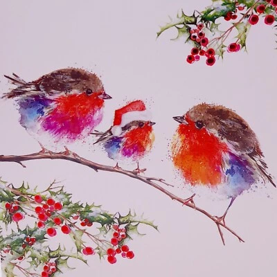 Cats Protection Christmas Cards Fluffy Robins 2024 Pack of 10 with Envelopes