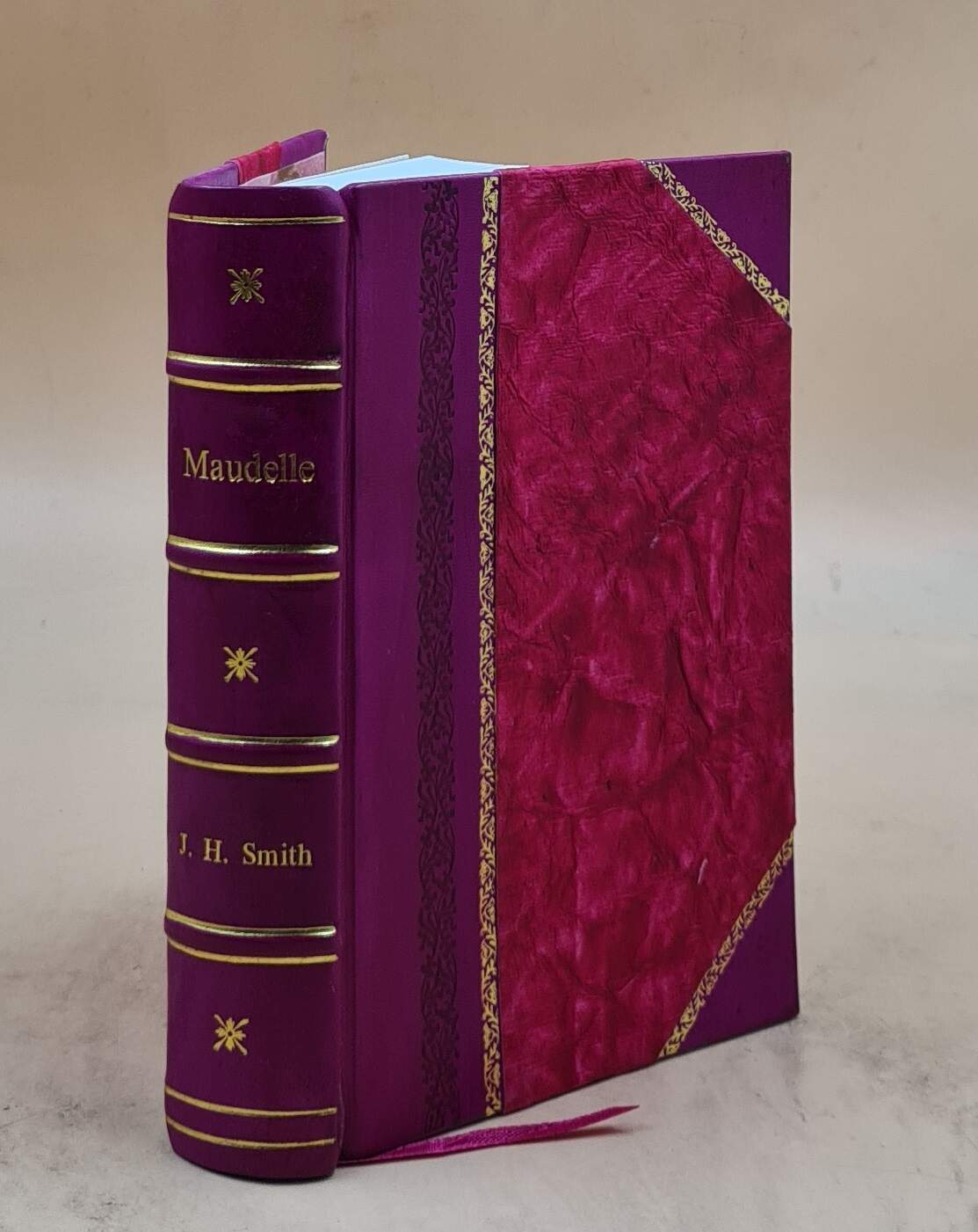 Maudelle Historical Novel Based on True Stories Leather Bound Edition