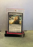 MTG Relic of Progenitus - Shards of Alara (ALA) #218 Magic the Gathering