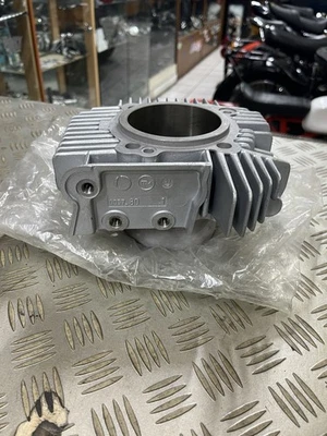 Ducati cylindre neuf 600 Monster phase 2 monstro 12020434A - NEUF - - Photo 1/4