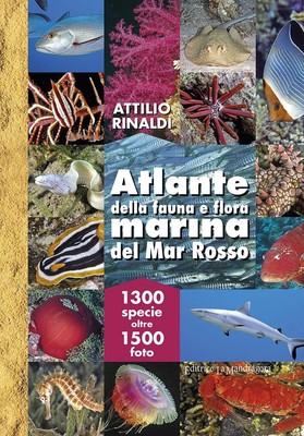 Bücher Attilio Rinaldi - Atlas der Meeresfauna und -flora des Roten Meeres. Ediz. 