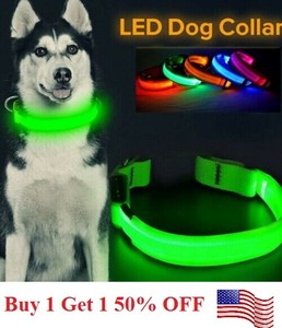 dog collar blinking lights