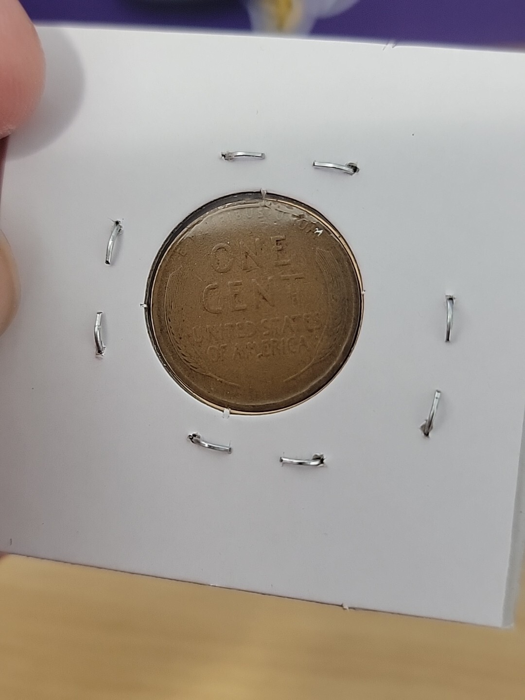 Picture 4 of 4