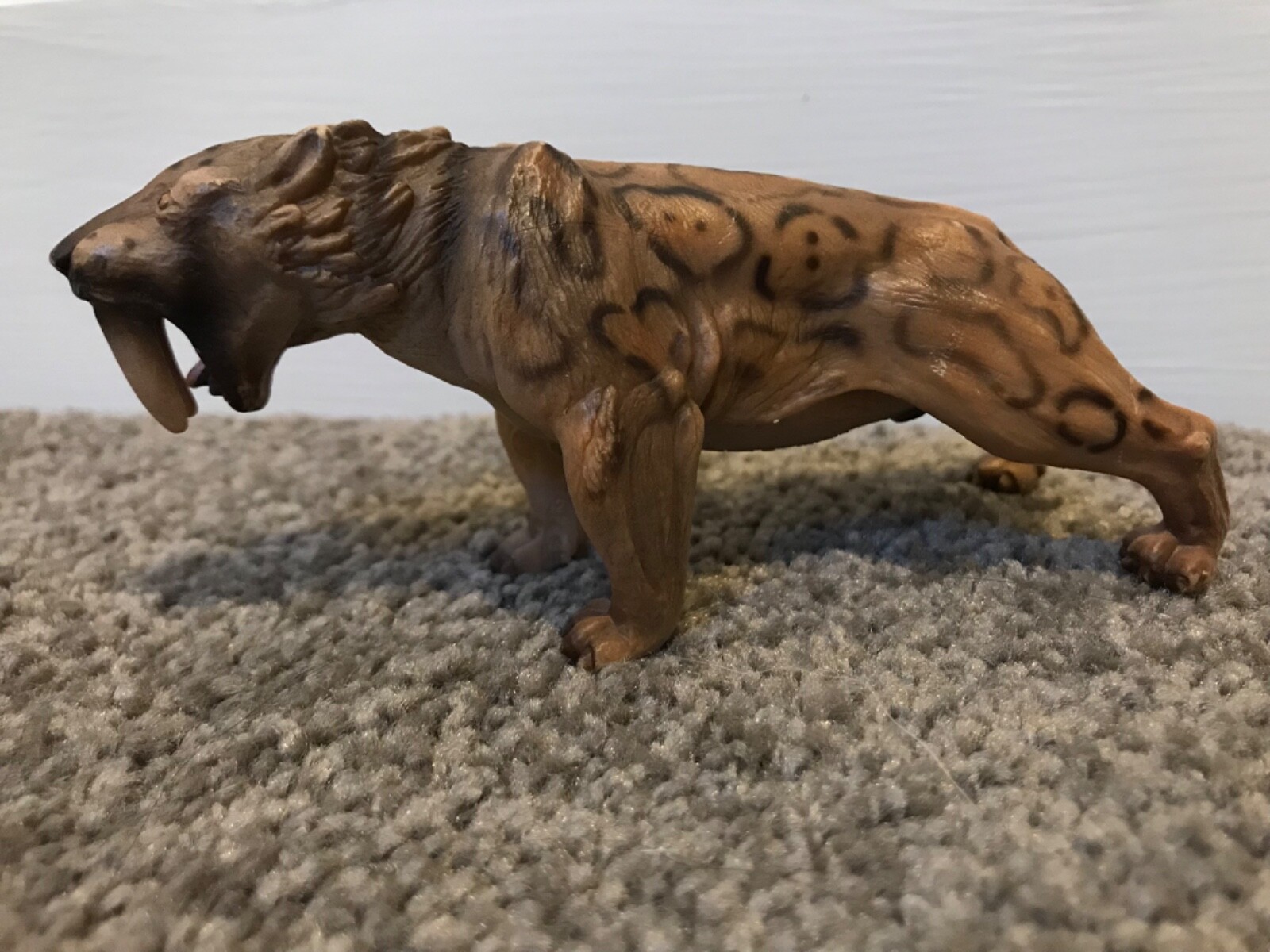 Picture 2 of 6