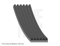 Blue Print AD06R2102 V-Ribbed Belt For Chrysler Daewoo Ford Jeep Land Rover Lexu